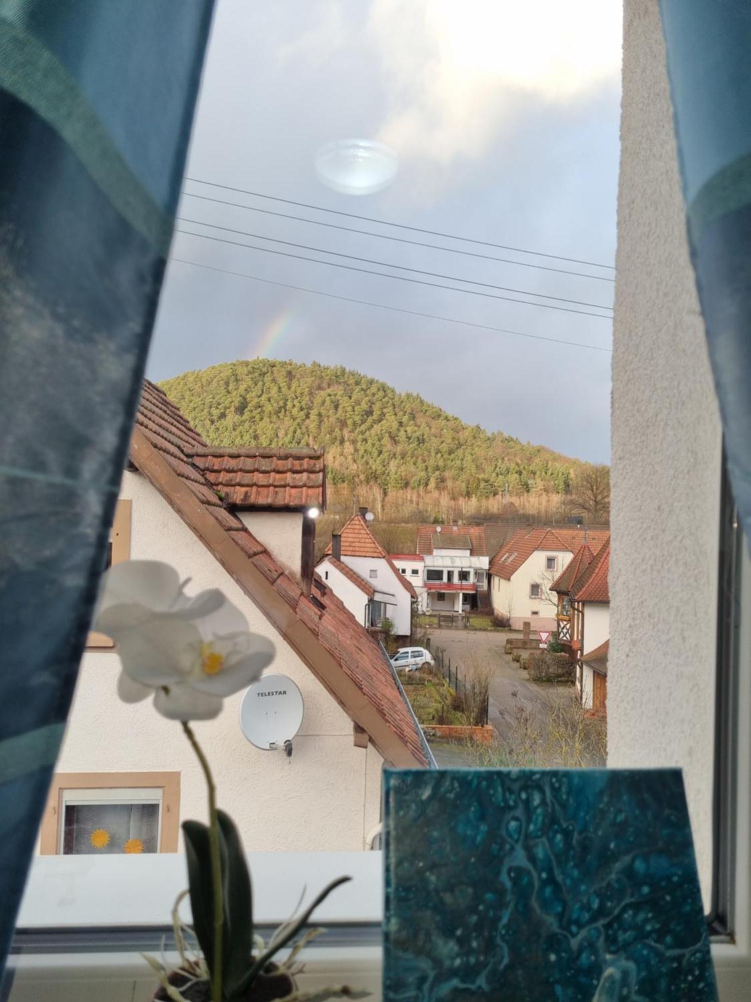 Ferienhaus Alexandra Bollenborn Екстер'єр фото